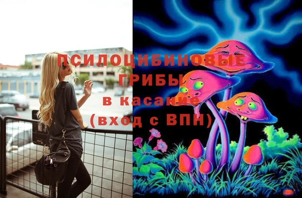 дживик Балабаново