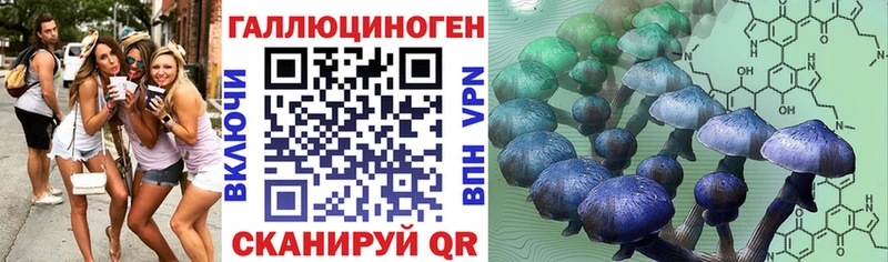 Купить  Свирск  Галлюциногенные грибы Magic Shrooms 